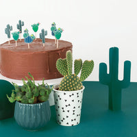 Cactus Candles