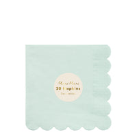 pale mint paper eco-friendly napkins in a pack of  20 napkins