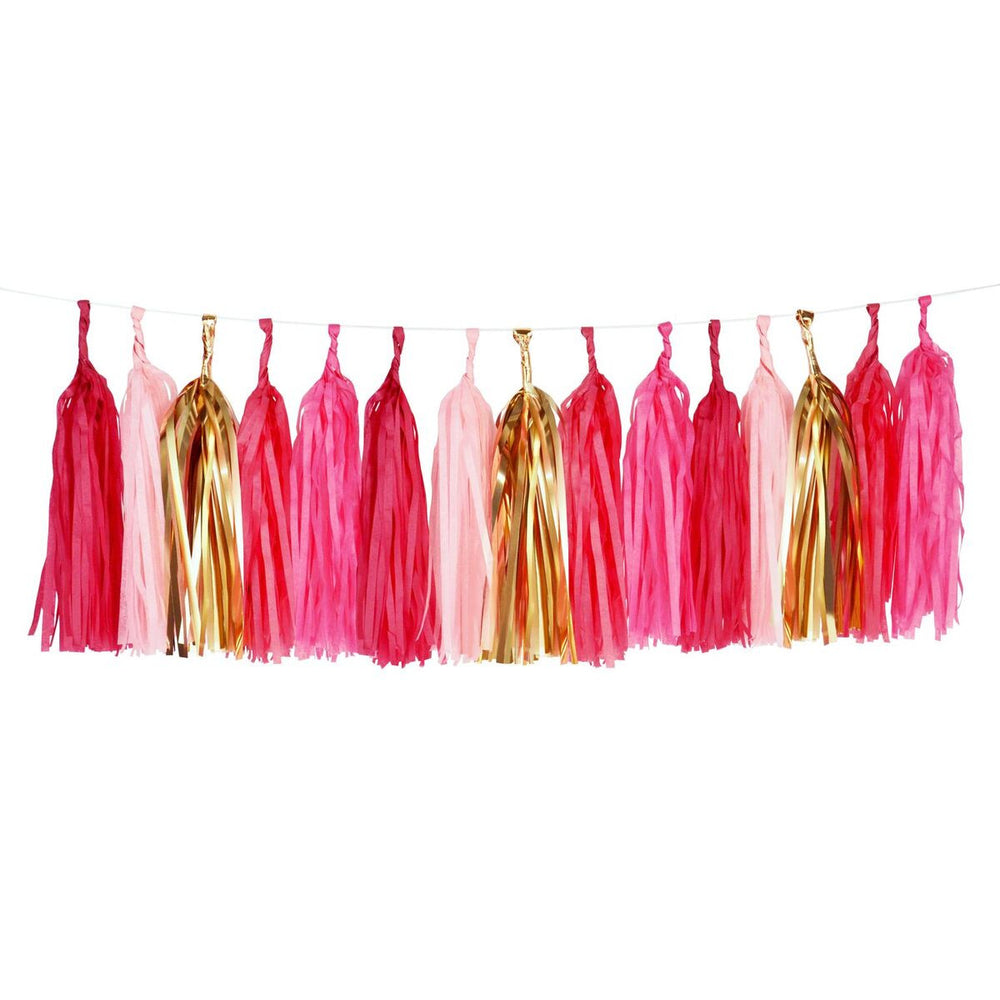 Tassels Garland Kit - Pink
