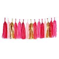 Tassels Garland Kit - Pink