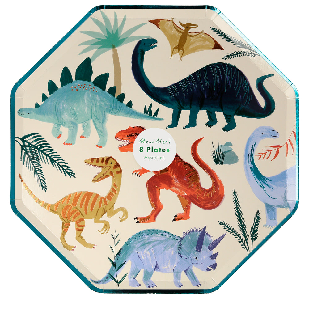 Package of 8 plates with beautifully illustrated dinosaur print.