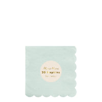 pale mint green paper napkins in a small size perfect for bar, beverage and dessert service in a pack of 20 napkins